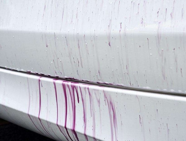 Preview: Equinox pH7 Hybridreiniger für Lack und Felgen